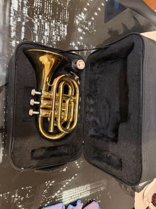 Trompeta pocket sib