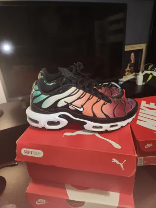 Zapatillas Nike Air Max Multicolor TN