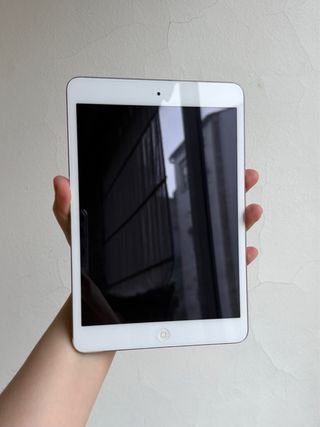 iPad mini