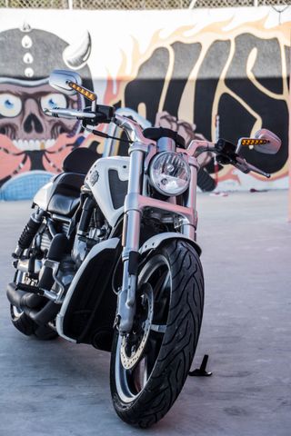 Harley Davidson VRod Muscle
