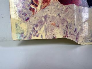 Cartel Publicitario Pepsi Vintage