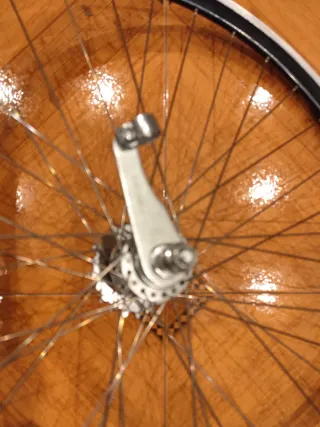 Ruedas de 700 contrapedal.