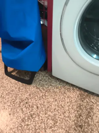 Lavadora Samsung Digital Inverter 7kg