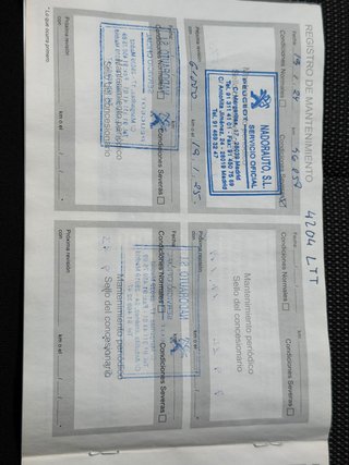 Peugeot Partner 4x4 Dangel Standard 600kgs BlueHDi 96kW
