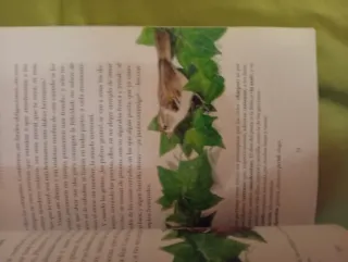 Estampas De Platero Y Yo N/c