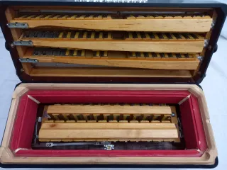 Accordeone Accordiola 96 bassi 3 voci mussette