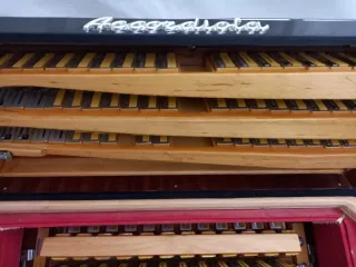 Accordeone Accordiola 96 bassi 3 voci mussette