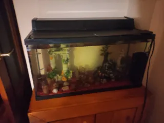 Acuario Negro y Transparente