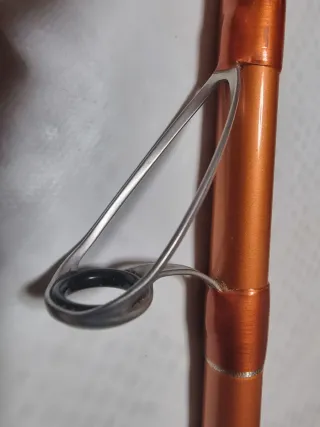 Caña de pescar Daiwa Cast'izm Surf 33425H