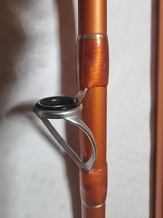 Caña de pescar Daiwa Cast'izm Surf 33425H