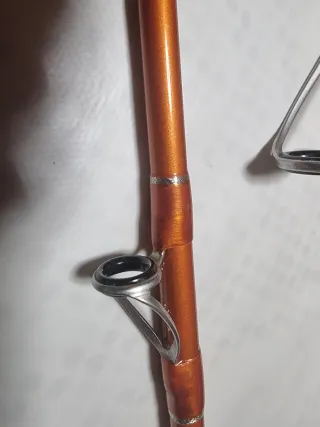 Caña de pescar Daiwa Cast'izm Surf 33425H