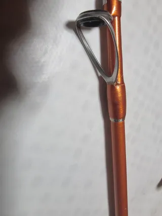 Caña de pescar Daiwa Cast'izm Surf 33425H