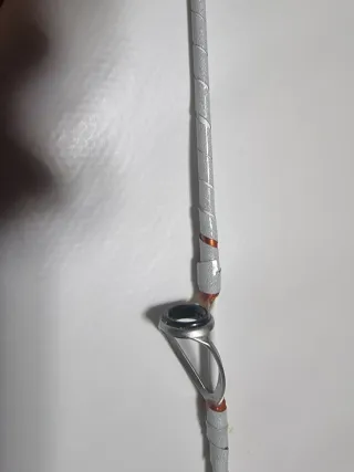Caña de pescar Daiwa Cast'izm Surf 33425H