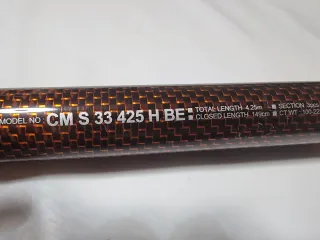 Caña de pescar Daiwa Cast'izm Surf 33425H