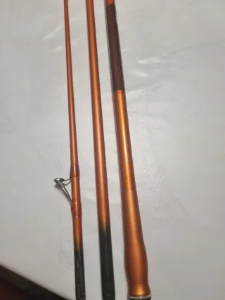 Caña de pescar Daiwa Cast'izm Surf 33425H