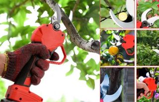 Tijera Podar Eléctrica 2 Baterías + Caja