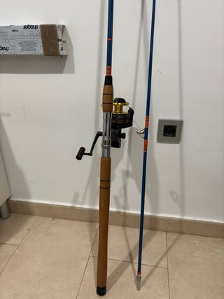 Caña antigua y carrete de pesca Daiwa