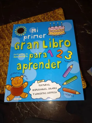 Mi primer gran libro para aprender