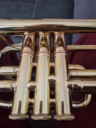 Corneta Bach Mercedes