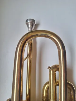 Corneta Bach Mercedes