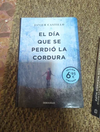 El día que se perdió la cordura (campaña verano...