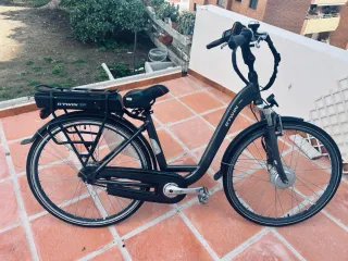 Bicicleta eléctrica Bikkel