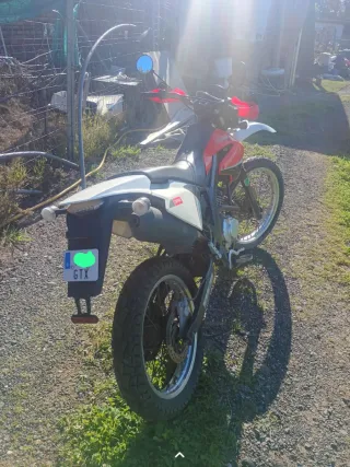 Derbi senda 125cc 4t carne b