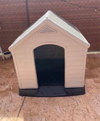 Caseta perro