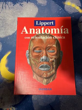 Anatomia 4b* Ed. - Estructura y Morfologia del ...