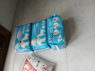 Pañales para perros ArquiDips Talla Xl