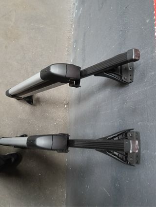 Baca porta-skies universal