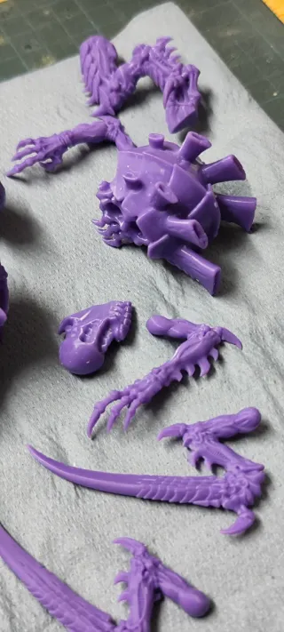 Pedido Impresión Minis