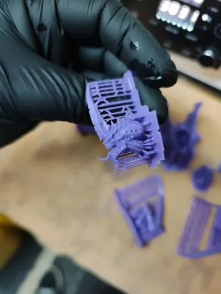 Pedido Impresión Minis