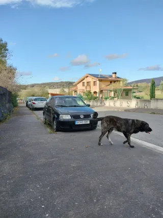 Volkswagen Polo 2001