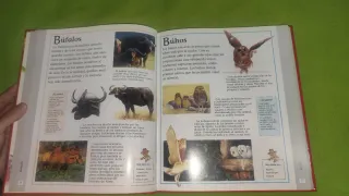 Tu Primera Enciclopedia de los Animales