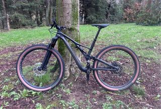 Bicicleta de montaña Specialized Stumpjumper 29