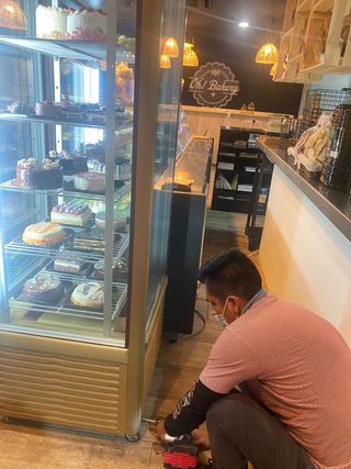 Cámara frigorífica no baja de 10° Madrid