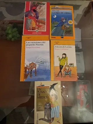 Lote de libros juveniles
