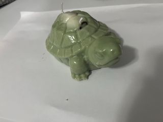 Vela tartaruga gigante