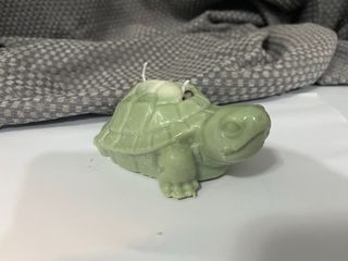 Vela tartaruga gigante