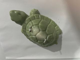 Vela tartaruga gigante