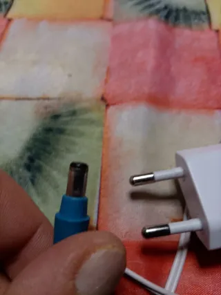 Cargador escoba Rowenta.