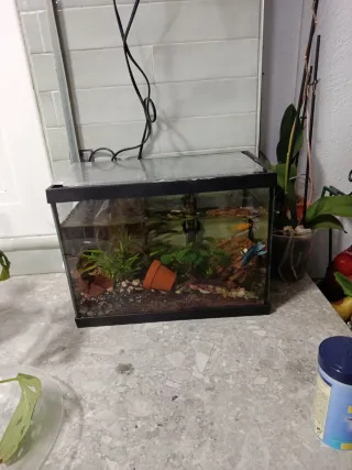 Acuario completo