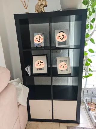 Mueble organizador Ikea