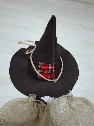 Disfraz espantapajaros