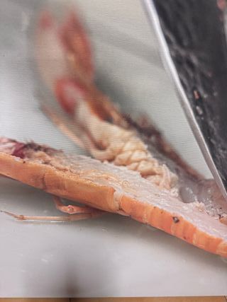 Quadro moderno su tela 60x90 cm fotografia cucina