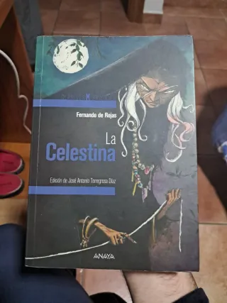 La Celestina (Clásicos de la literatura) (Spani...