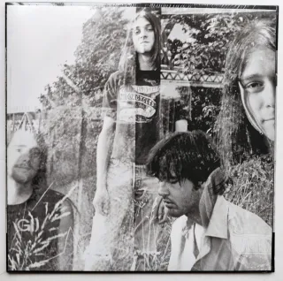 LP 2021 🇩🇪 NIRVANA - BLEACH