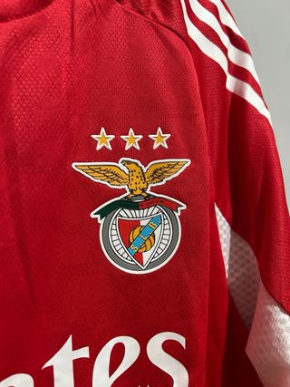 Camisola Benfica - Pavlidis