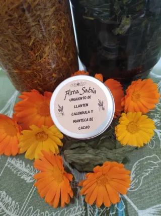 Ungüento de Llantén y Caléndula